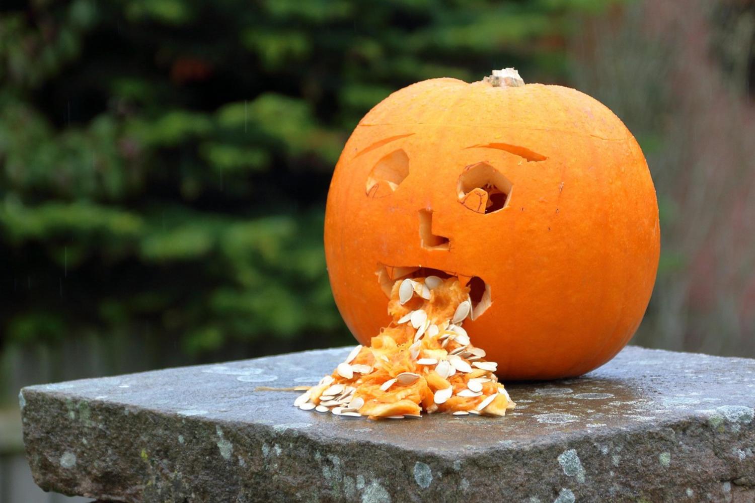 citrouille qui vomit