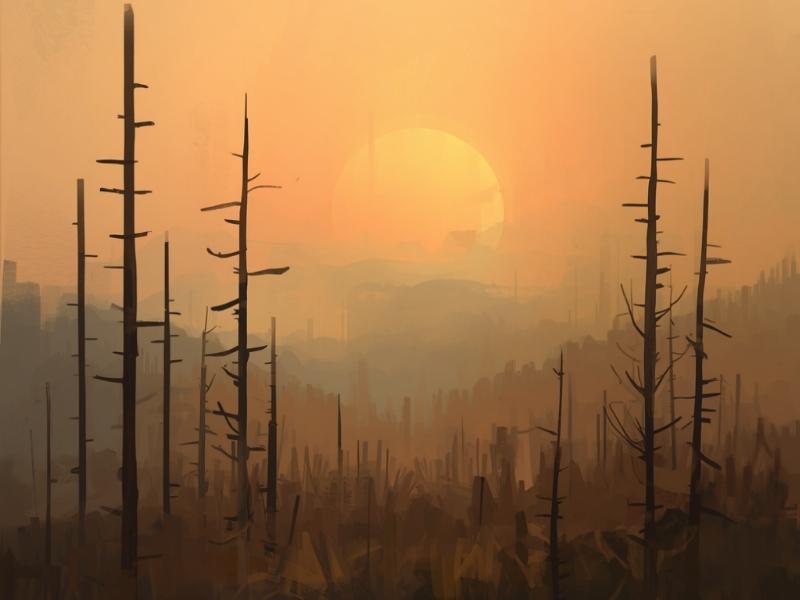 Forêt brûlée