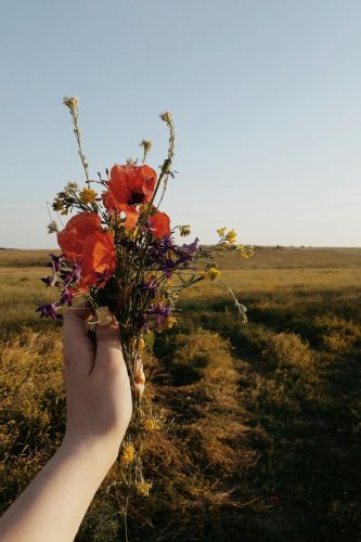 Cette photo montre une main tenant un bouquet de fleurs sauvages, idéal pour prendre contact avec Eva RAFFIER Hypnothérapeute à Bordeaux.